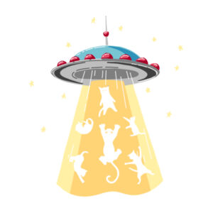 Beam Me Up - Tea Towel Design
