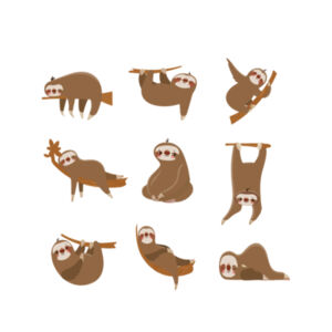 Sloth Yoga - Tea Towel Design